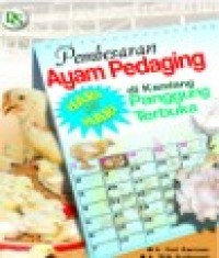 Image of Pembesaran Ayam Pedaging di Kandang Terbuka